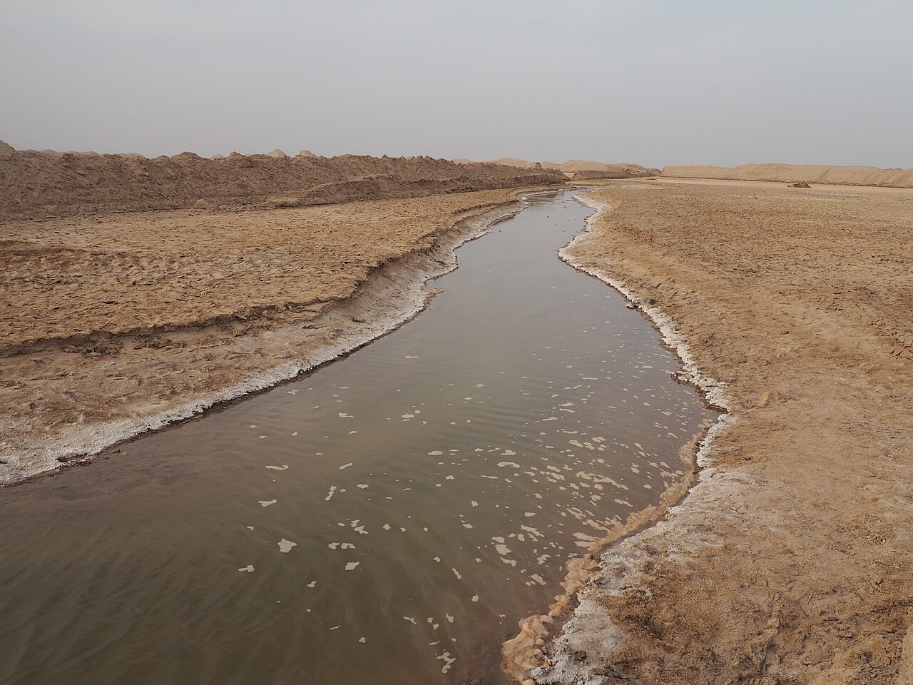 کلوتهای شهداد