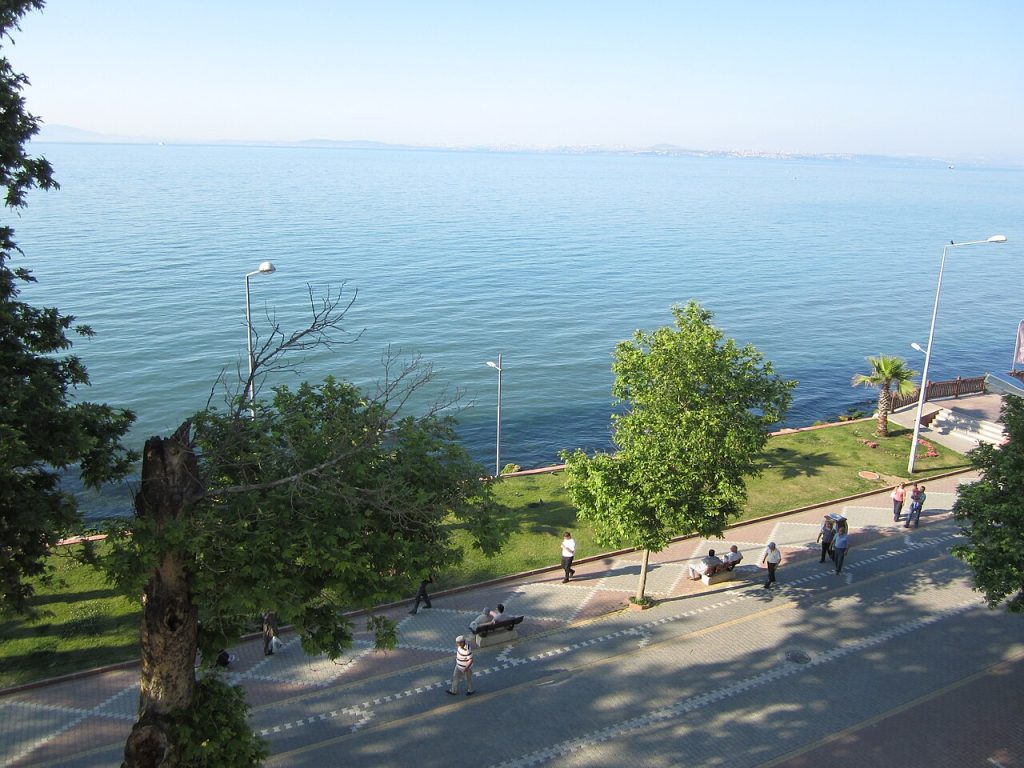 نمایی از یالووا