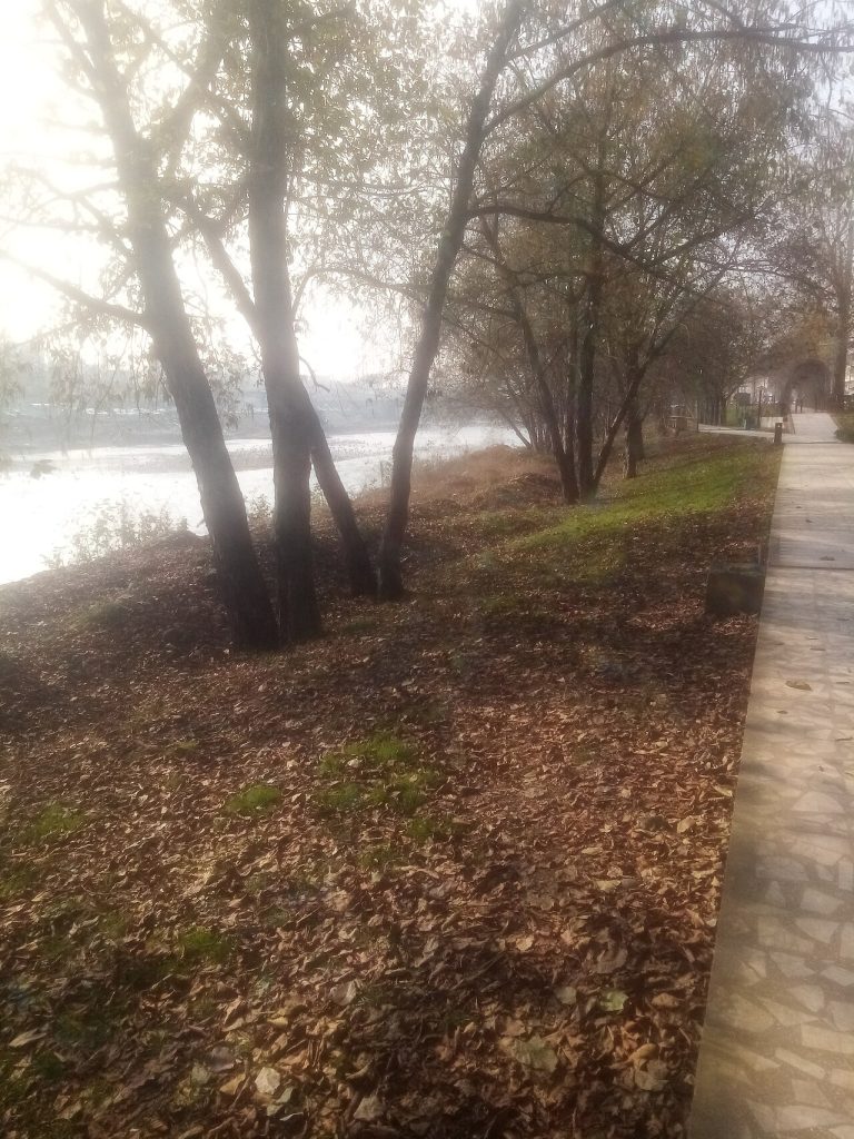 نمایی از تنکابن