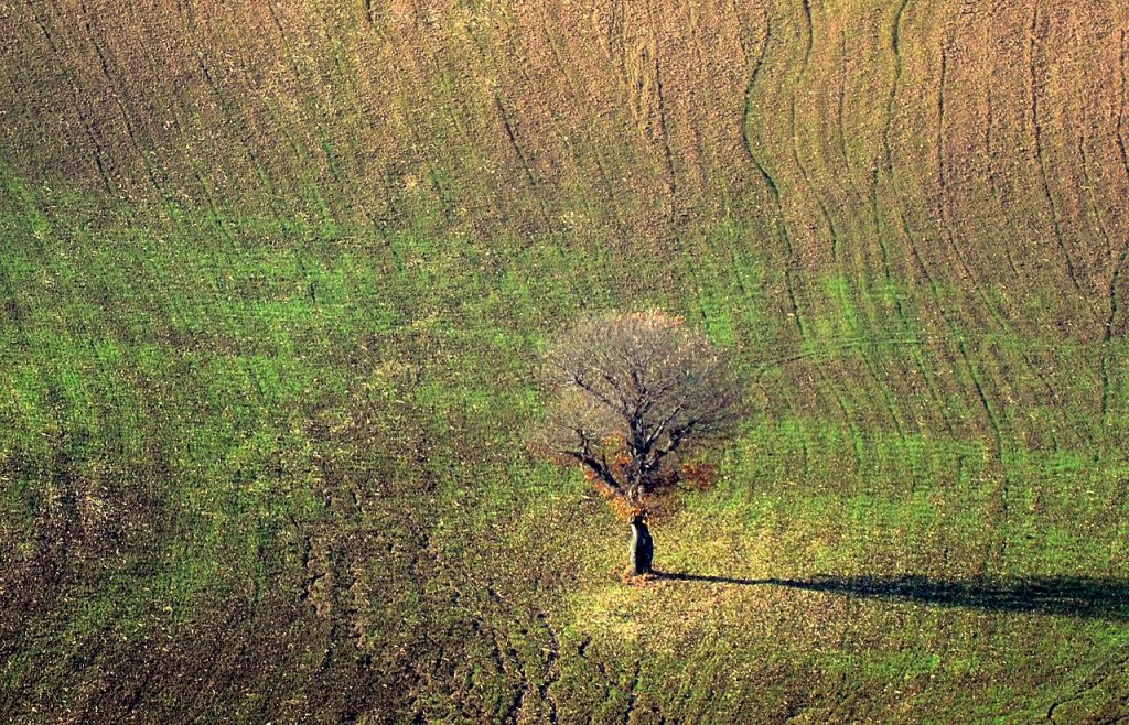 نمایی از نکا