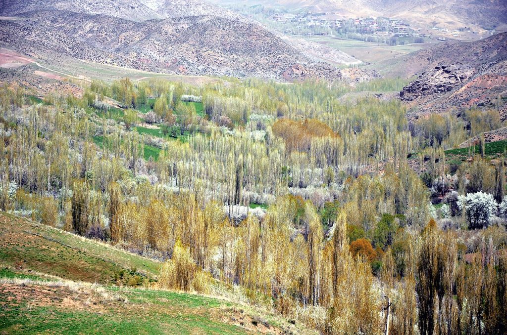 نمایی از خلخال