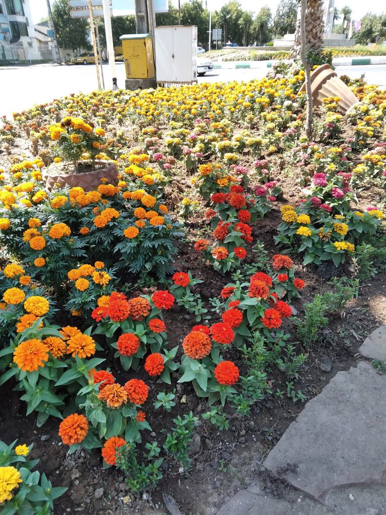 نمایی از آستارا
