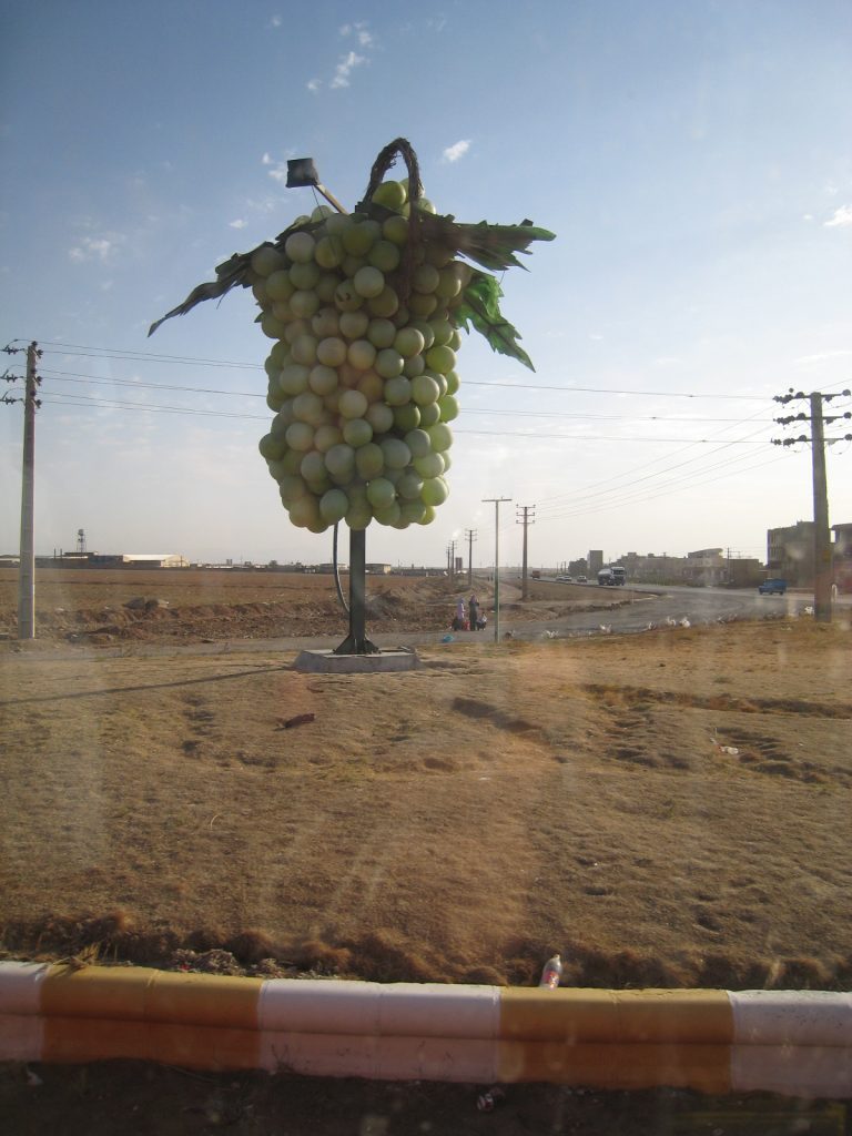 نمایی از تاکستان
