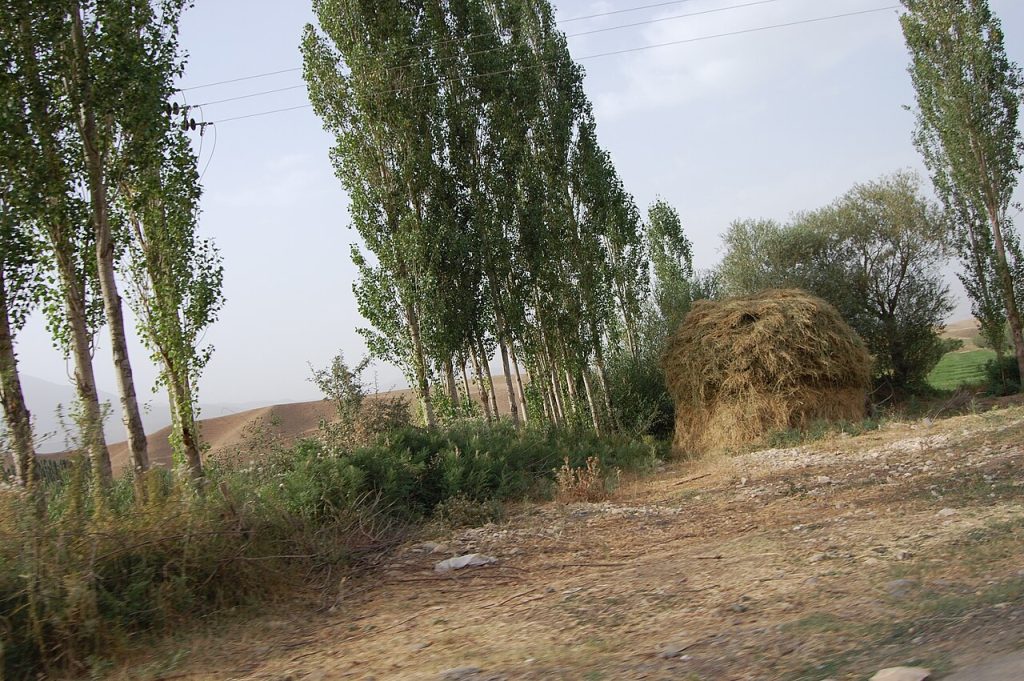 نمایی از دورود
