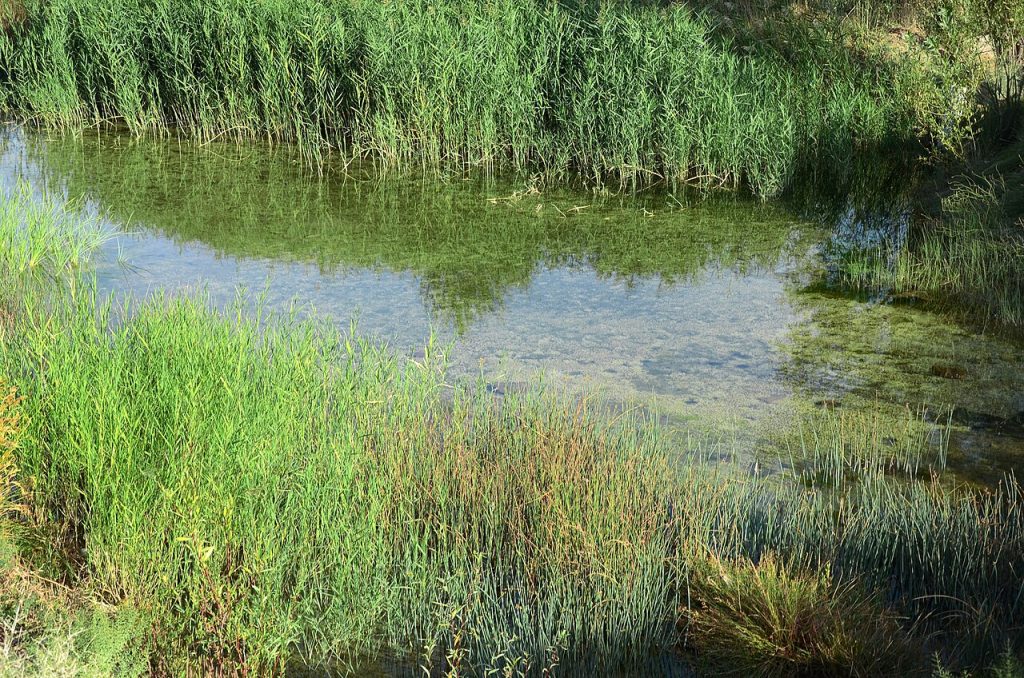 نمایی از فریدون کنار