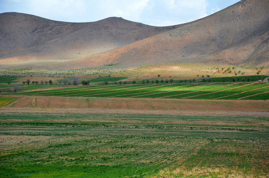 نمایی از شهر کرد