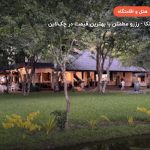 Kassapa Lions Rock – دامبولا
