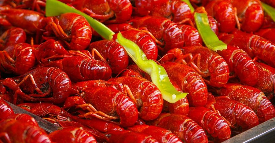 غذاهای معروف شانگهای
