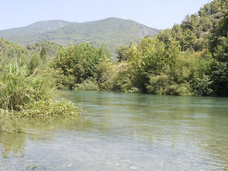 رودخانه دیم