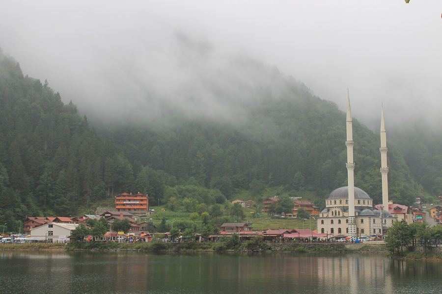 ساحل و دریای سیاه