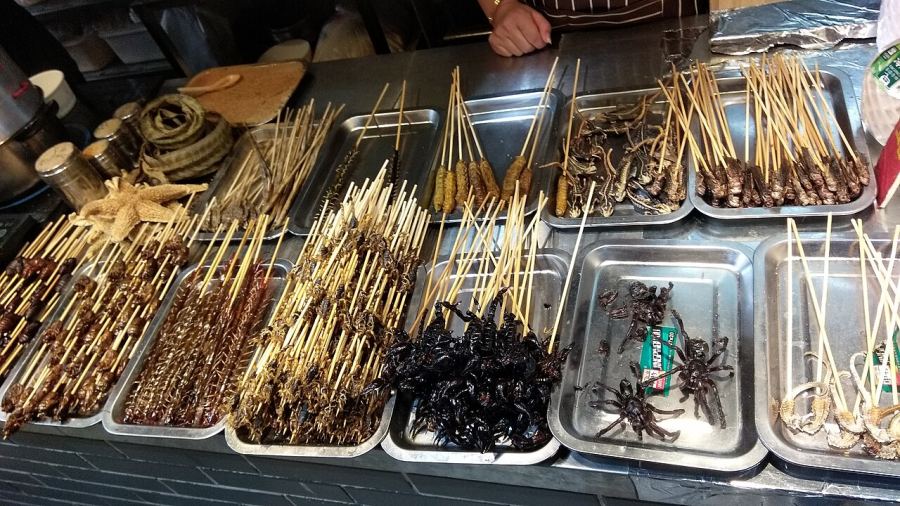راهنمای کامل گردشگری هانگژو؛ از دریاچه غربی و معابد تاریخی تا مزارع چای، غذاهای محلی و شهرهای آبی