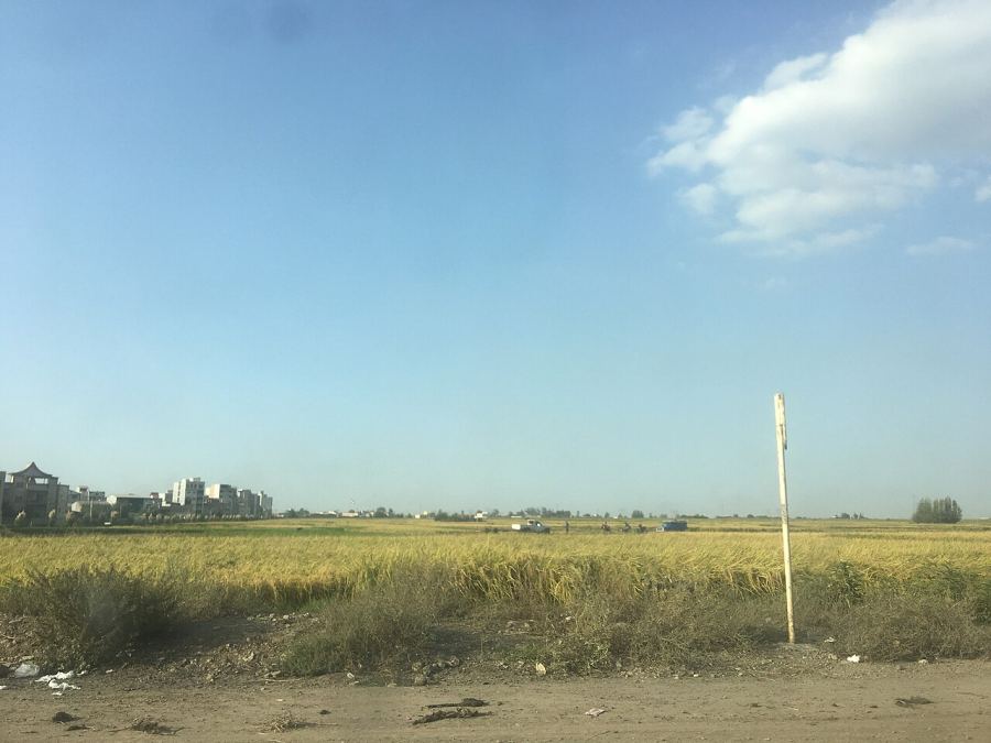 جاهای دیدنی علیآباد کتول