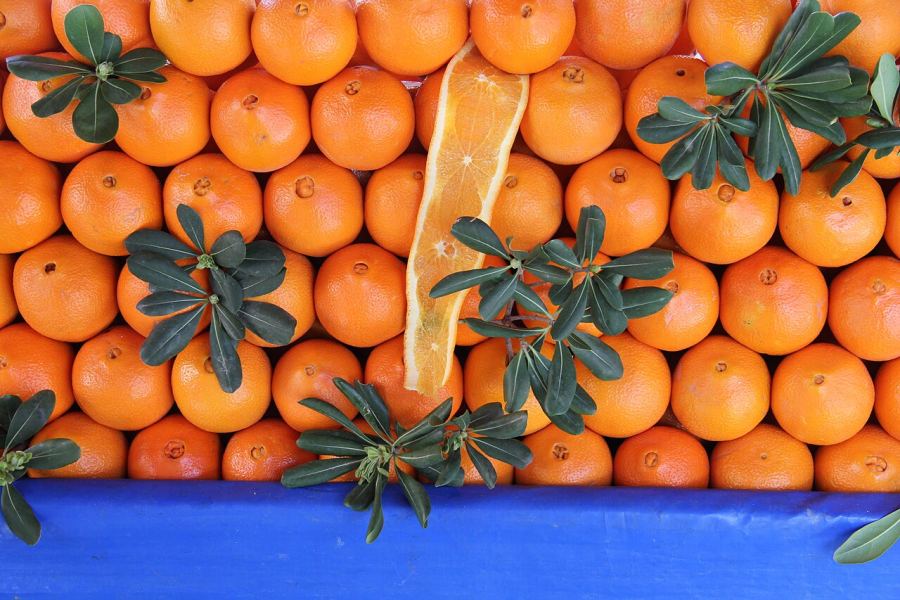 راهنمای کامل سفر، جاهای دیدنی، سواحل، غذاها و نکات گردشگری