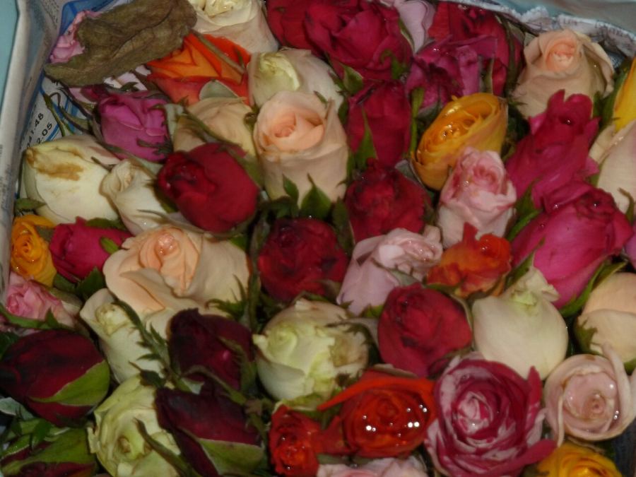 بازار گل پاک کلونگ